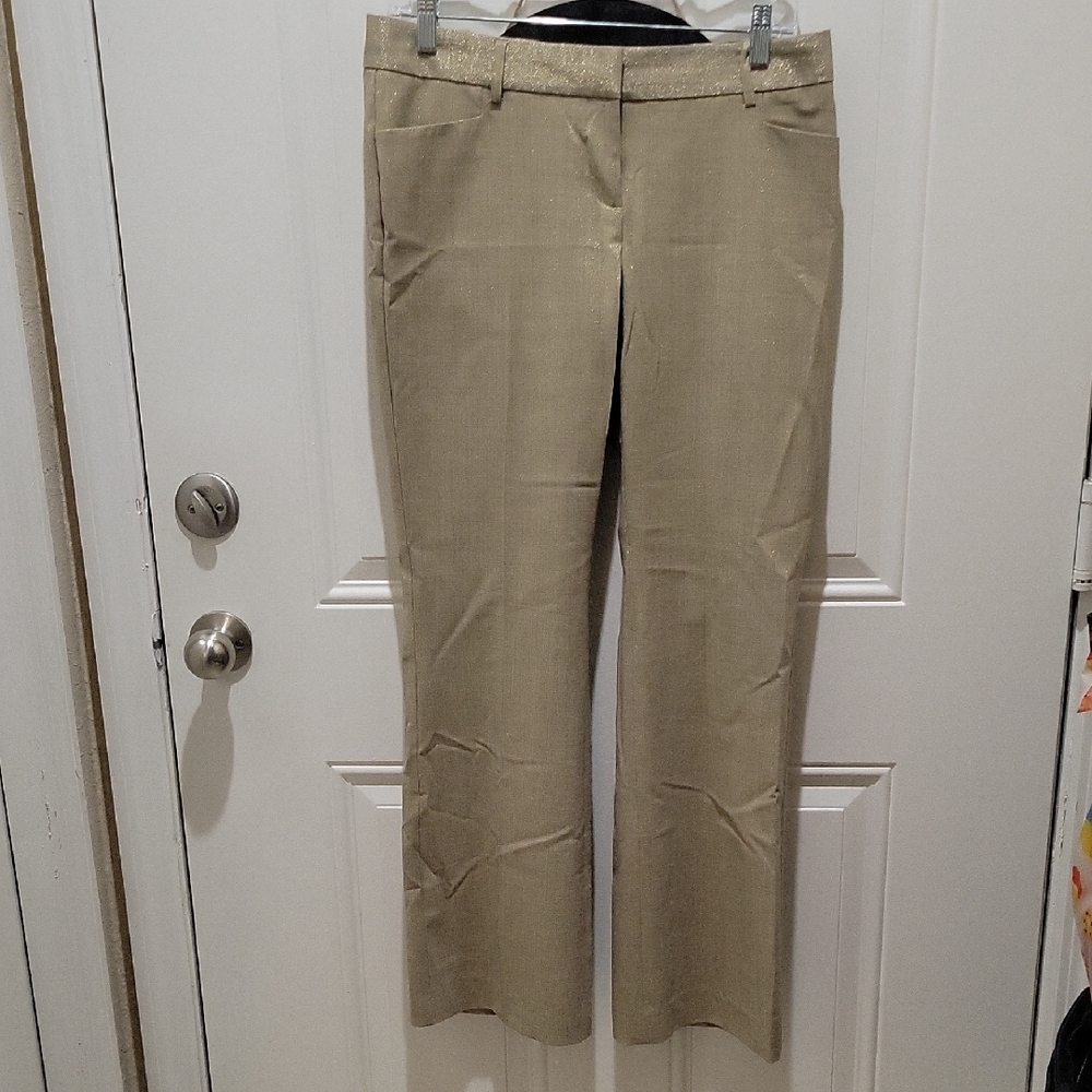 Express Size 6 Elegant Gold Women's Pants